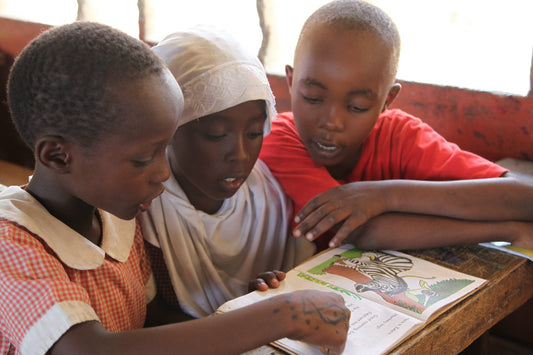 REACTION | Top 10 African Countries with the Highest Adult Literacy Rate | Lex Pyerse Clothing