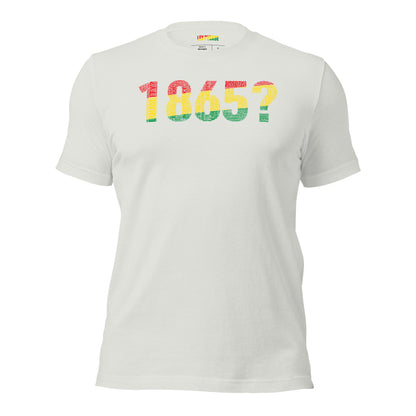 1865? Pan African Colored Inspired Unisex T-shirt